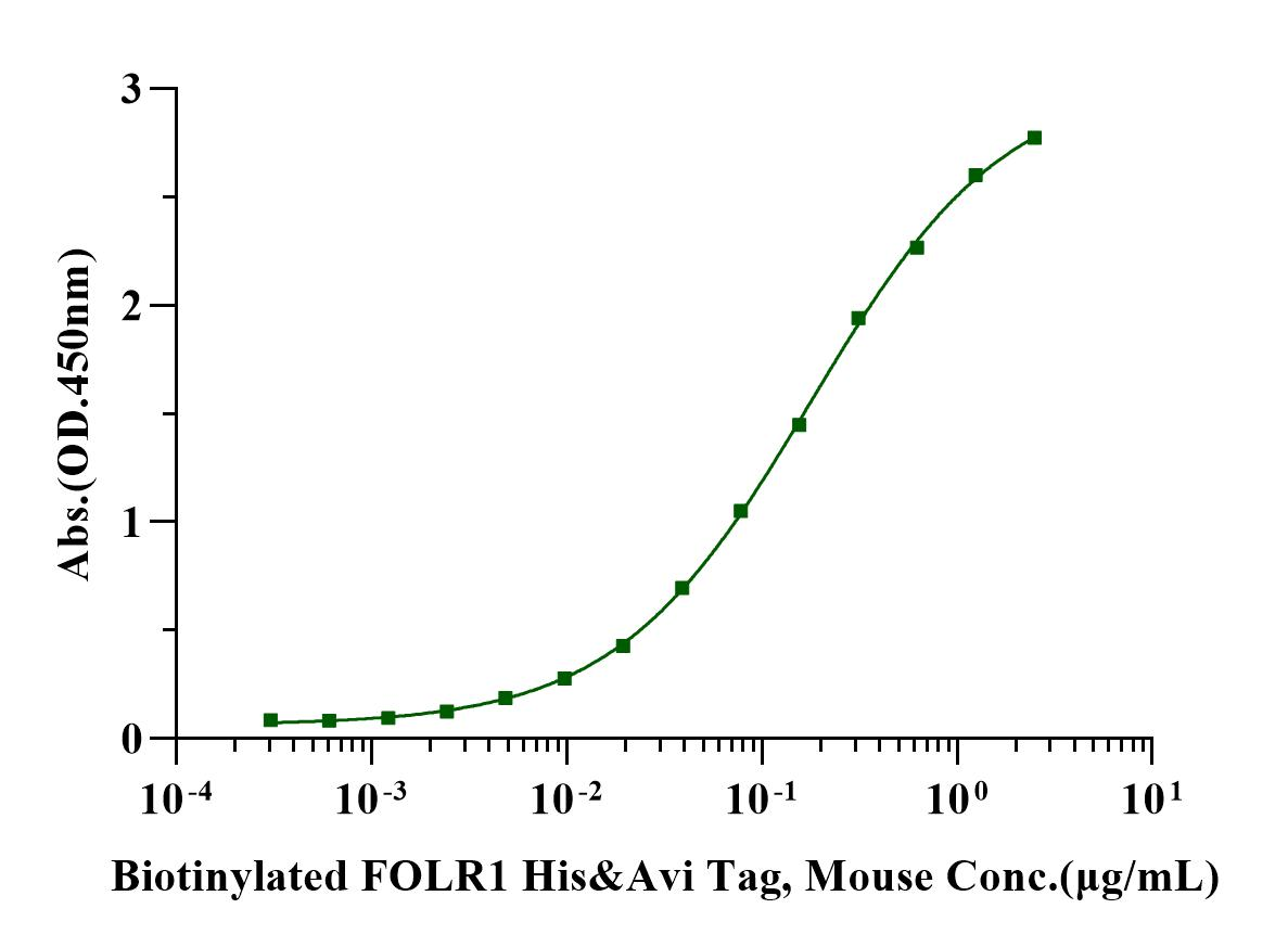 Biotinylated FOLR1 His&Avi Tag Protein, Mouse