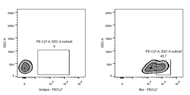 Myc tag Recombinant Rabbit mAb (PE-Cy7® Conjugate) (S-114-13)