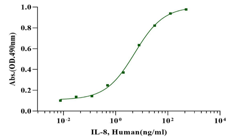 IL-8 (23-99) Protein, Human