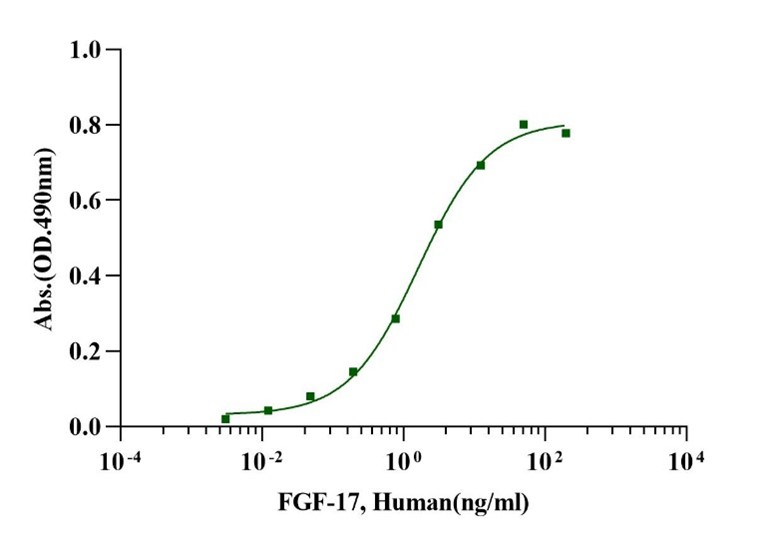 FGF-17 Protein, Human