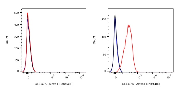 CLEC7A Recombinant Rabbit mAb (S-1043-136)