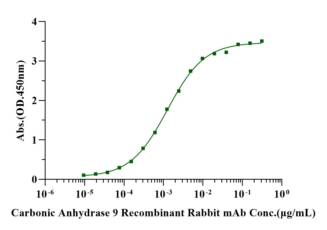 Carbonic Anhydrase IX/CA9 His Tag Protein, Human