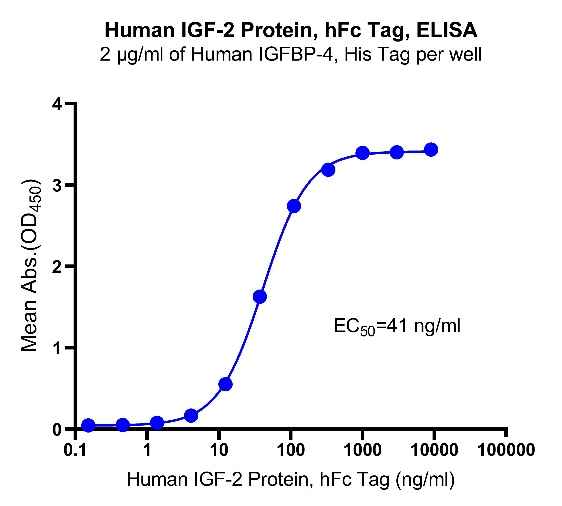 Human IGF-2 Protein, hFc tag