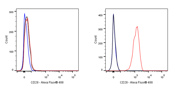 CD28 Mouse mAb (S-714-76)