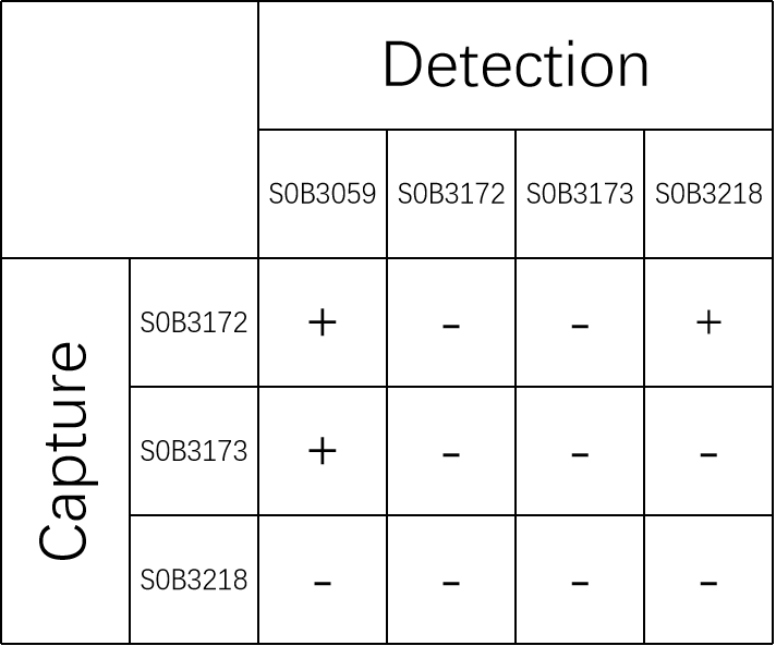 Tau (phospho T217) Recombinant Rabbit mAb (SDT-176-13)