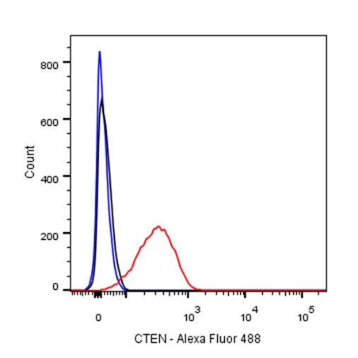 CTEN Recombinant Rabbit mAb (SDT-R175)