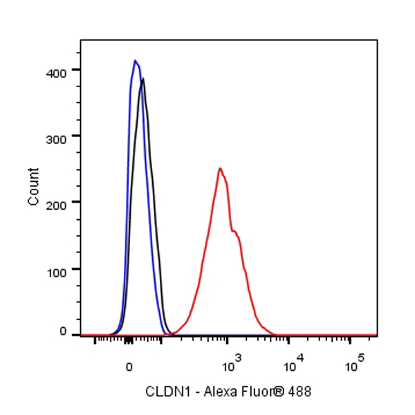 Claudin 1 Recombinant Rabbit mAb (SDT-025-43)