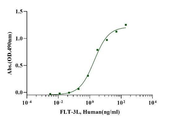 FLT-3L Protein, Human