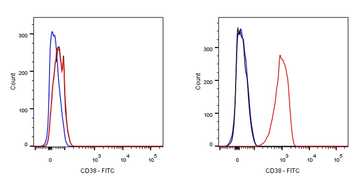 FITC Rabbit Anti-Human CD38 Antibody (SDT-031-45-2)