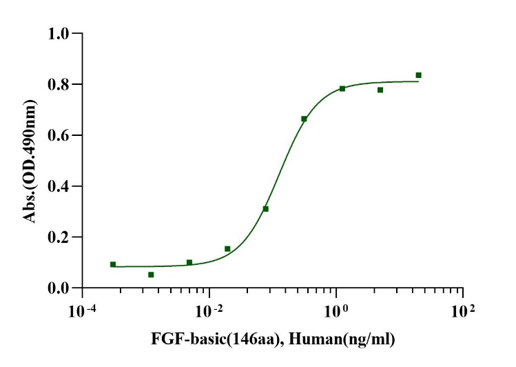 FGF-basic(146aa) Protein, Human