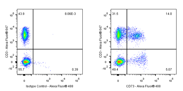 CD73 Mouse mAb (S-715-115)