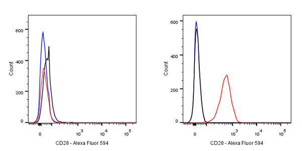 Alexa Fluor® 594 Mouse Anti-Human CD28 Antibody (15E8)
