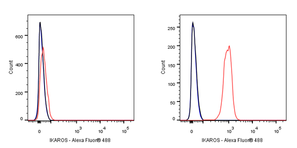 IKAROS Recombinant Rabbit mAb (S-R264)