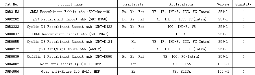 Cell Cycle Regulation Antibody MiniAb Set