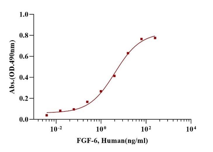 FGF-6 Protein, Human