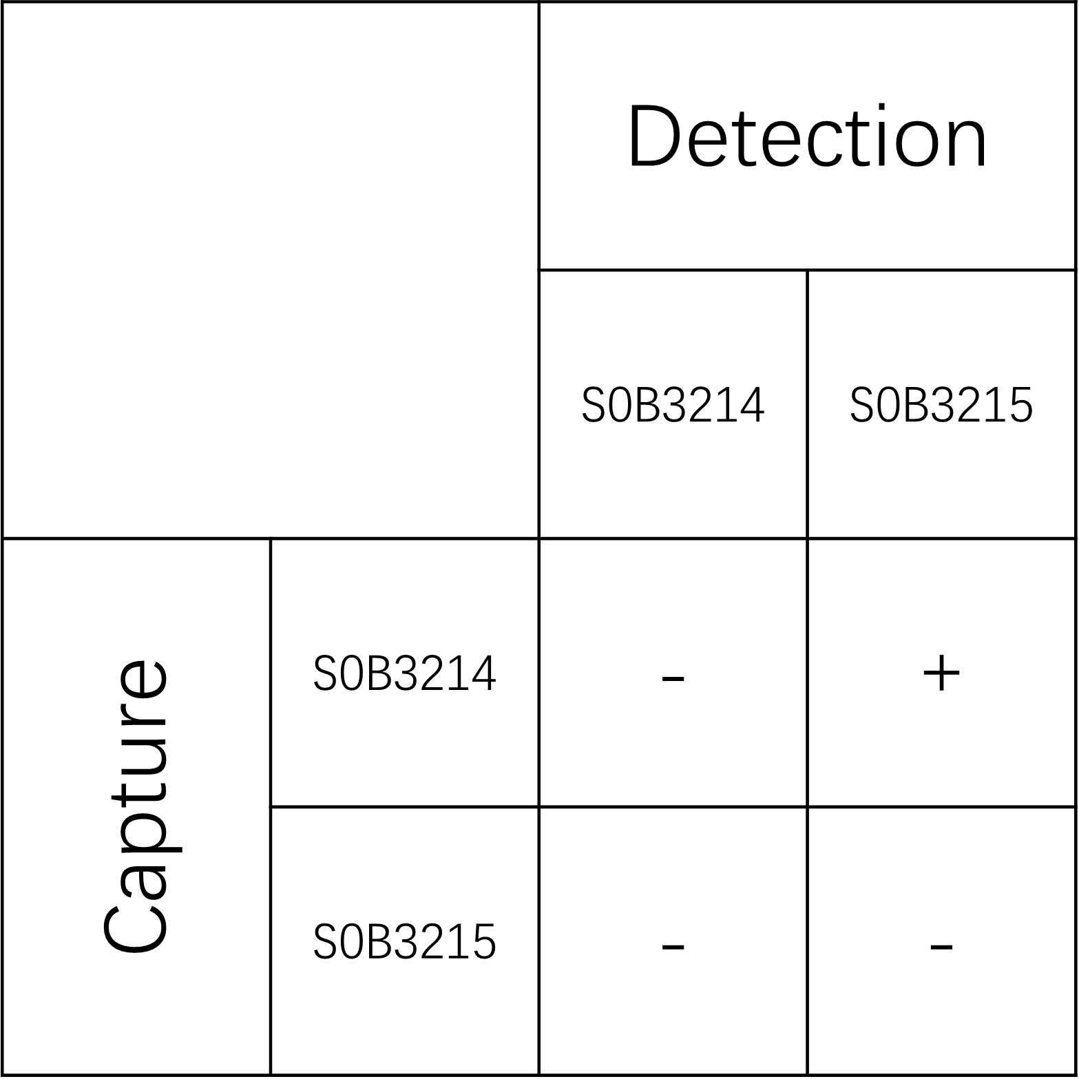 AMH Recombinant Rabbit mAb (SDT-270-80)