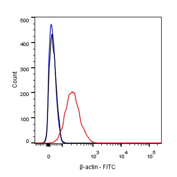 β-actin Recombinant Rabbit mAb (FITC conjugate) (SDT-R015)