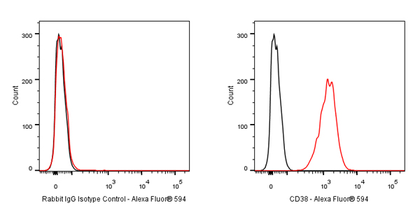 Alexa Fluor® 594 Rabbit IgG Isotype Control Antibody (S-R058)