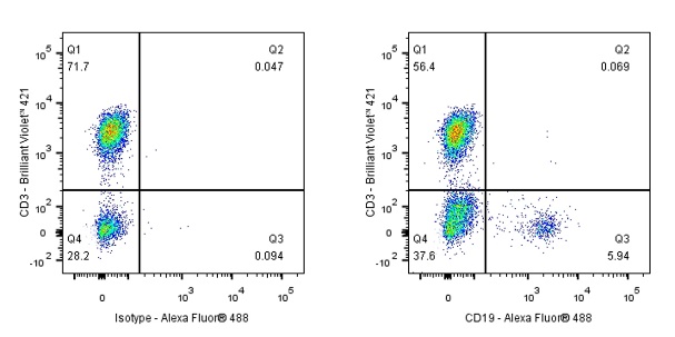 Mouse Anti-Human CD19 Antibody (S-R503-1)