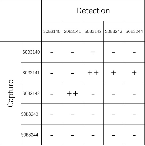 sFlt-1 Mouse mAb (SDT-304-7)