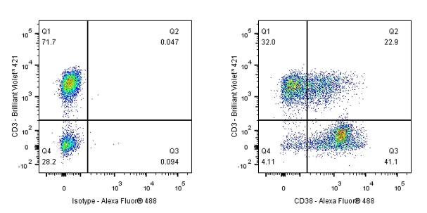 Mouse Anti-Human CD38 Antibody (S-R507-2)