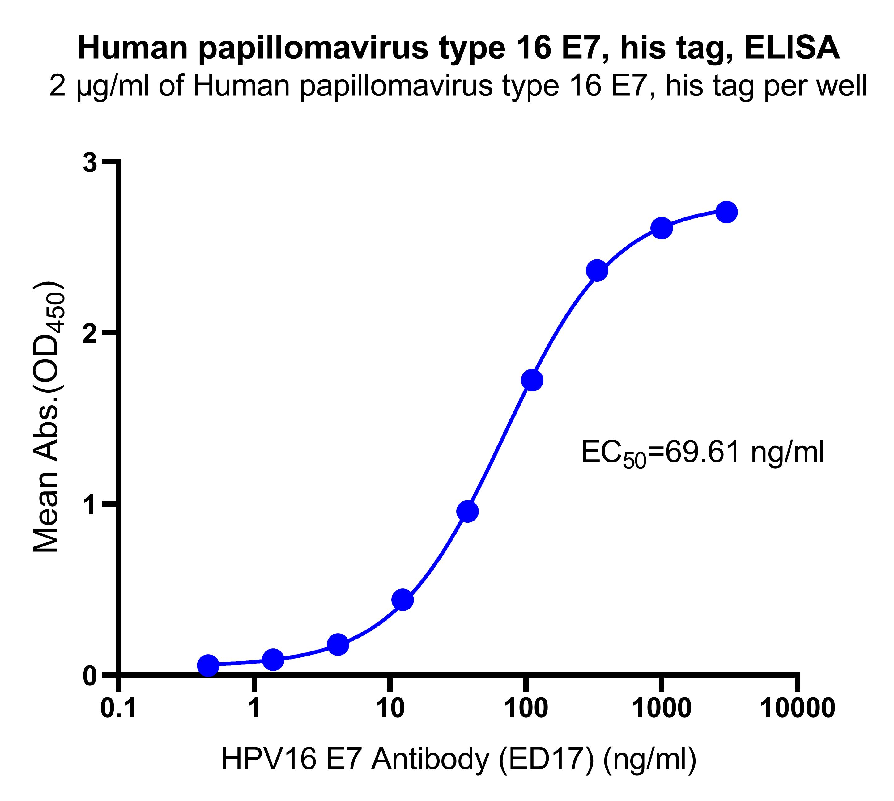 Human papillomavirus type 16 E7, his tag