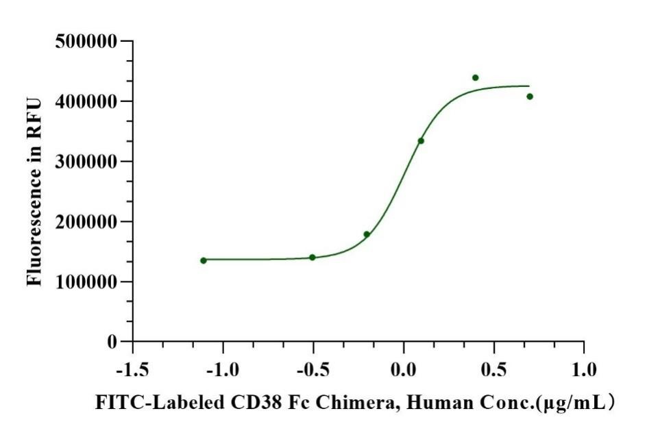 FITC-Labeled CD38 Fc Chimera Protein, Human