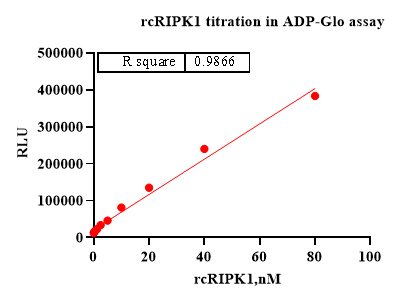 RIPK1 Protein