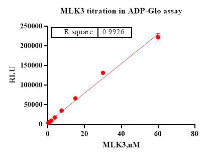 MLK3 Protein