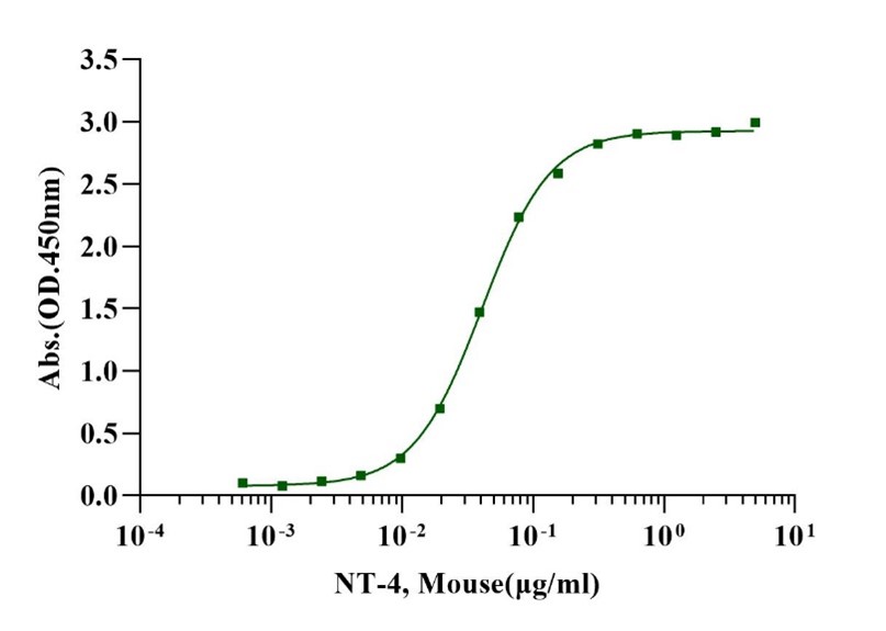 NT-4 Protein, Mouse