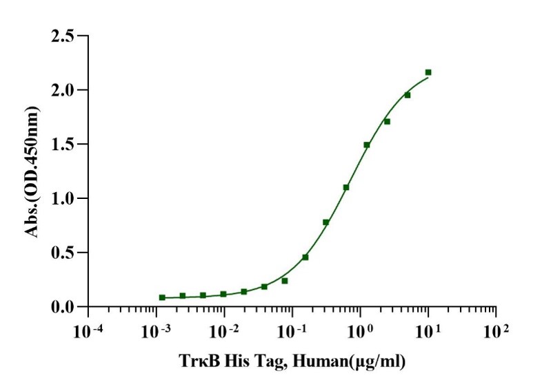 TrkB His Tag Protein, Human