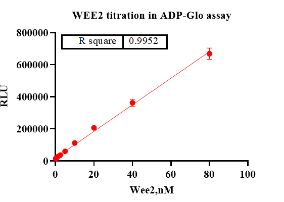 WEE2 Protein