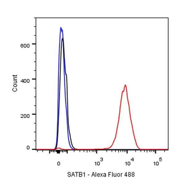 SATB1 Recombinant Rabbit mAb(SDT-073-11)
