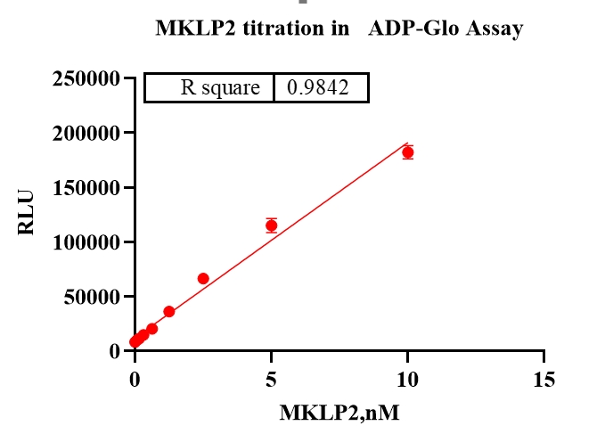 MKLP2 Protein
