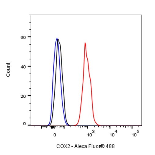 COX2 Recombinant Rabbit mAb (SDT-380-259)