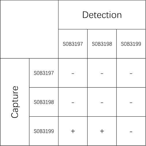 ACTH Recombinant Rabbit mAb (SDT-363-92)