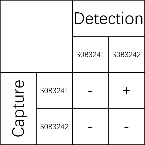 Thrombomodulin Recombinant Rabbit mAb (SDT-153-50)
