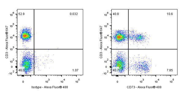Alexa Fluor® 488 Mouse Anti-Human CD73 Antibody (S-715-115)