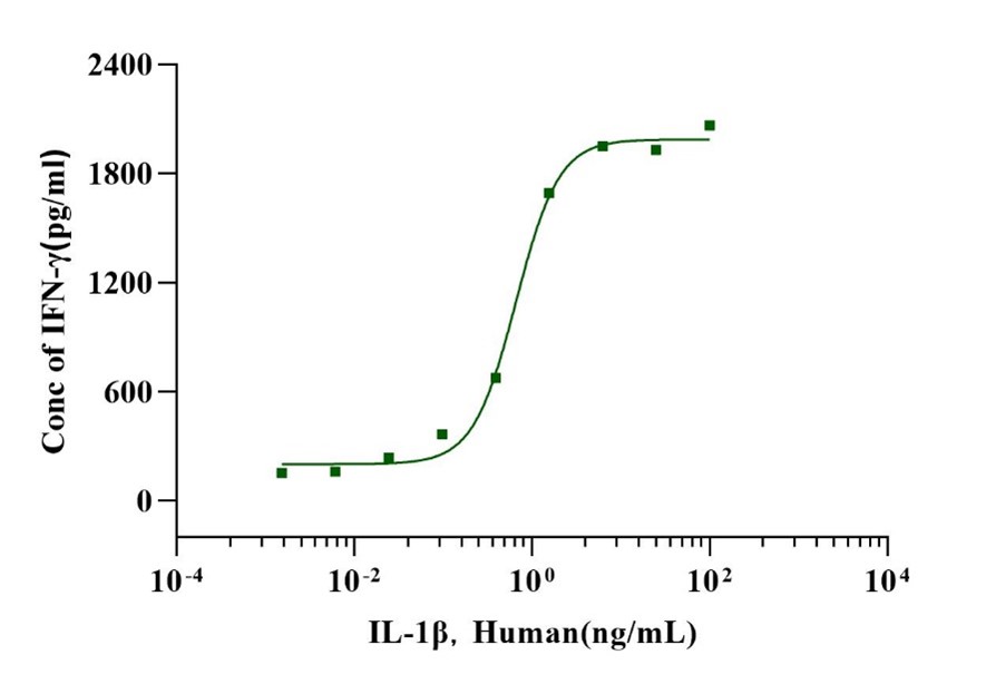 IL-1β Protein, Human