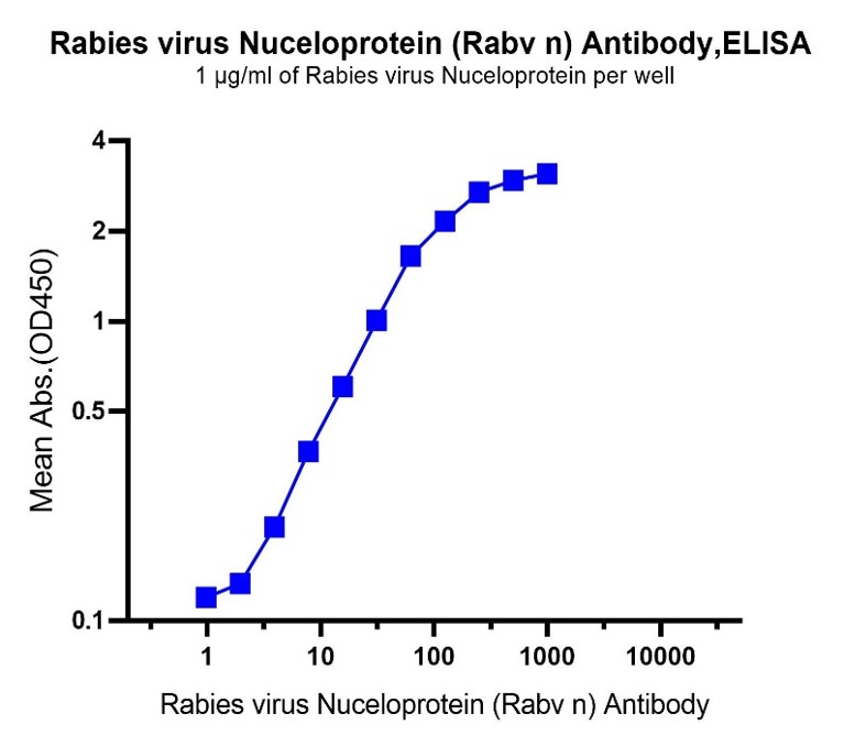 Rabies virus Nuceloprotein Rabbit pAb
