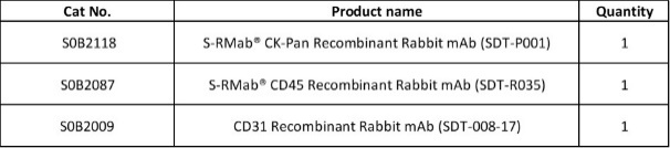 CK-Pan, CD45, CD31 Antibody Panel