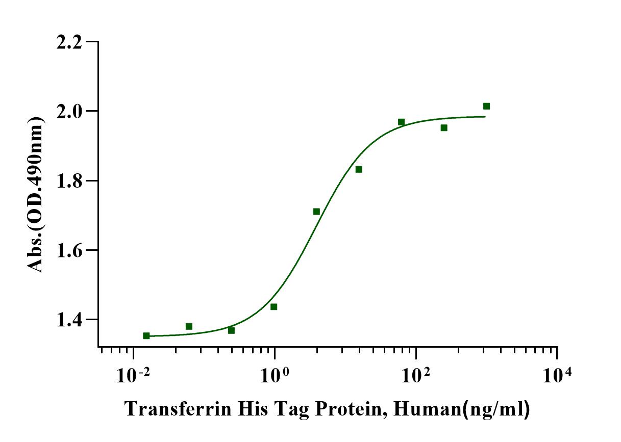 Transferrin His Tag Protein, Human