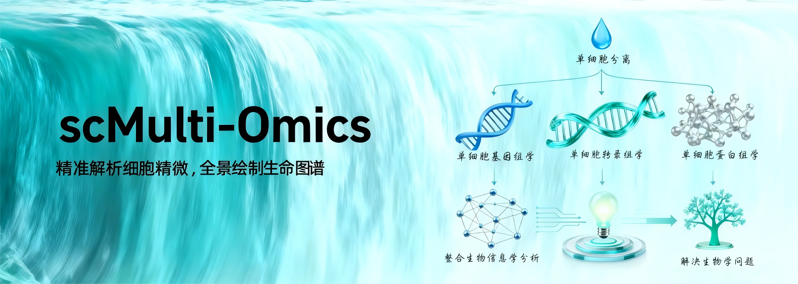 单细胞多组学